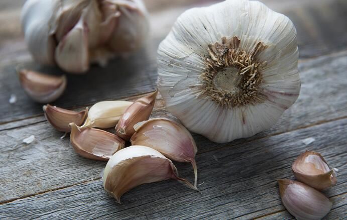 What is allicin potential What is allicin potential