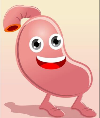 apple cider benefits for stomach