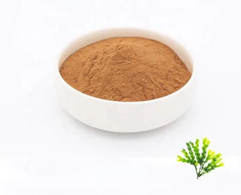 Polvere di cancro alla vescica