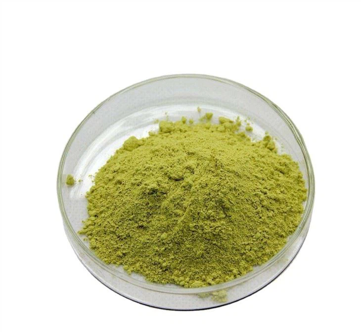 Polvere di quercetina