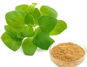 Estratto di origano