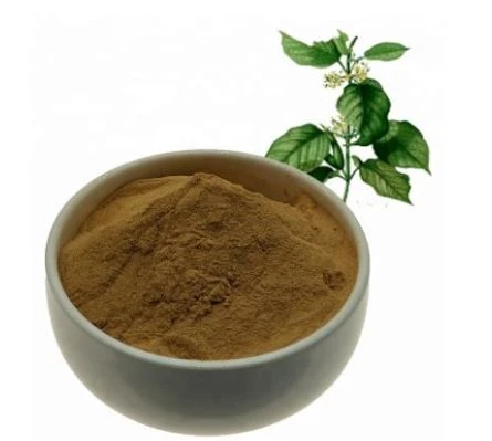 Estratto di Gymnema Sylvestre