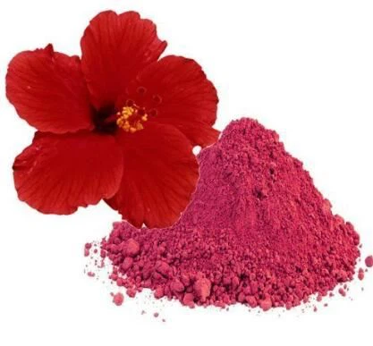 Polvere di ibisco