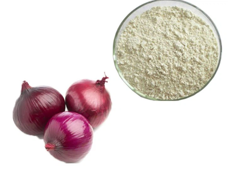 Polvere di cipolla biologica