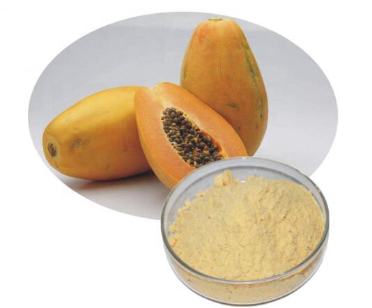 Polvere di frutta papaia
