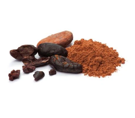 Polvere di cacao crudo