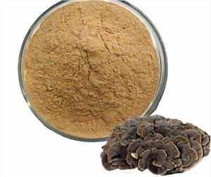 Estratto di fungo delle nuvole