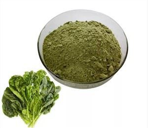 Polvere di spinaci liofilizzati