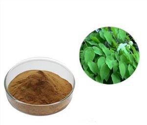 Estratto di erba di capra cornea