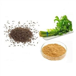 Polvere di semi di sedano biologico