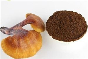 Reishi Mushroom Powder Bulk