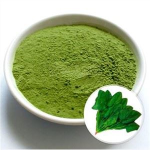 Spinaci in Polvere Biologici