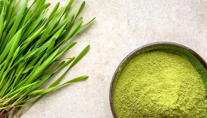 Polvere di erba di grano per dimagrire