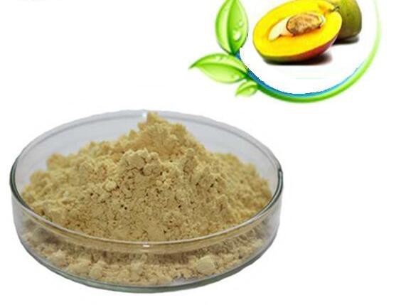 Polvere di semi di mango africano